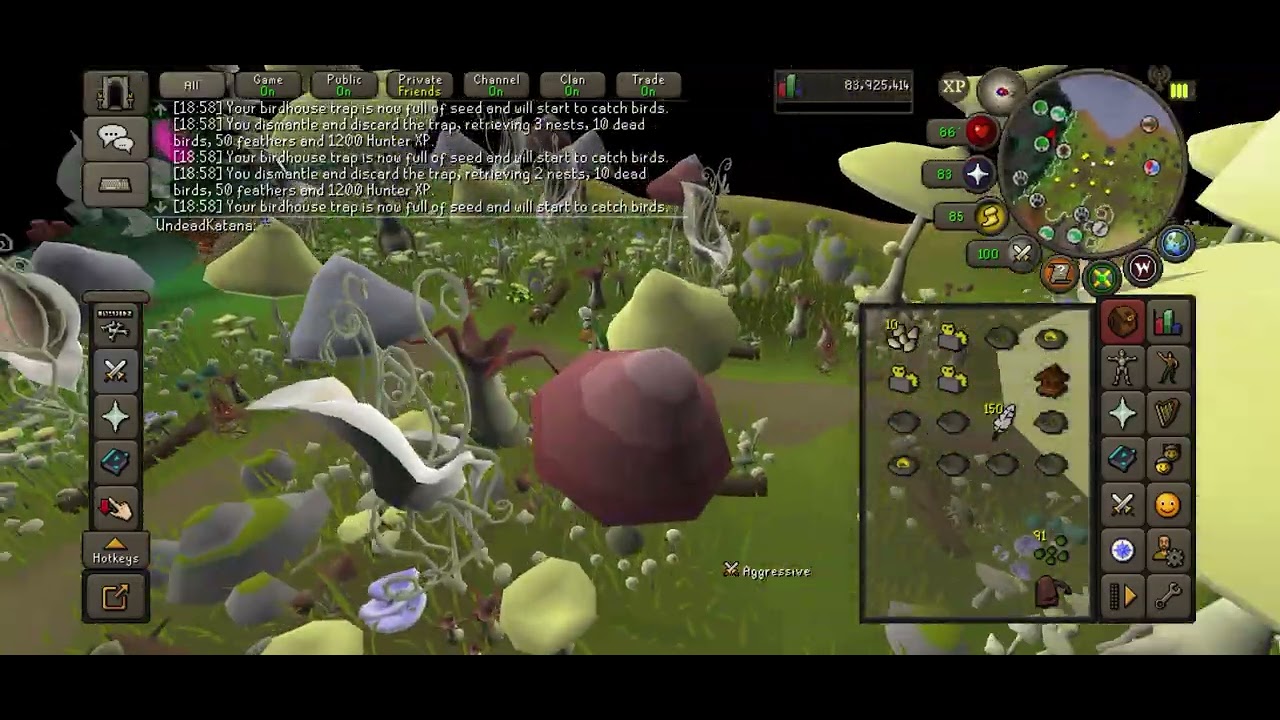 98 Hunting BirdHouse run!