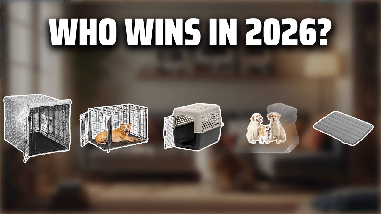 The Top 5 Best Dog Crates in 2026 - Must Watch Before Buying!