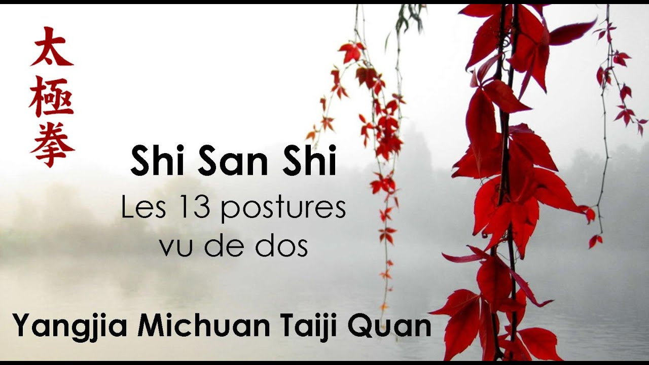 Shi San Shi vu de dos