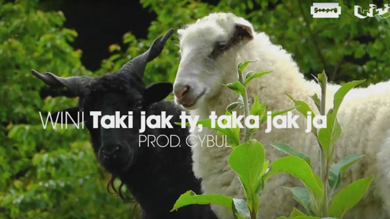 Wini - Taki jak ty, taka jak ja (prod. Cybul)
