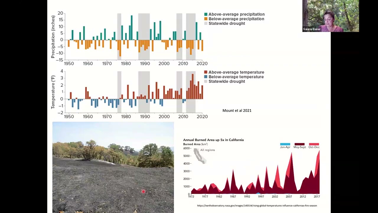 The building blocks to resilience of California’s grasslands to fire and drought with Valerie Eviner
