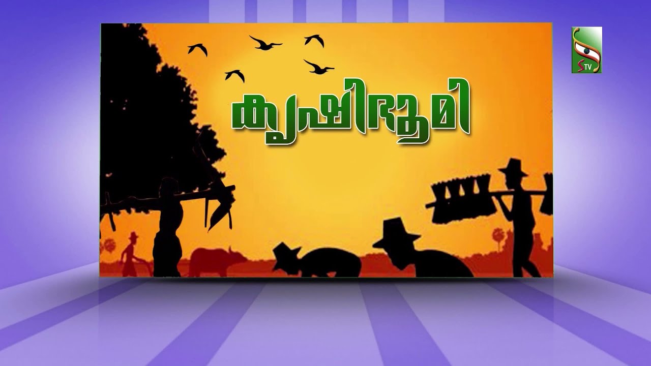 സംസ്ഥാനത്തെമികച്ചകൃഷിഓഫീസർക്കുള്ളഅവാർഡ്കരസ്ഥമാക്കിയ വല്ലപ്പുഴകൃഷിഭവൻകൃഷിഓഫീസർU.Vദീപയുമായുള്ളഅഭിമുഖം