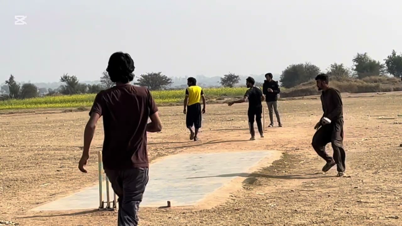 Match highlights part 2#viral #cricket #pleasesubscribe #cricketlover #viwes10milionplace #views 