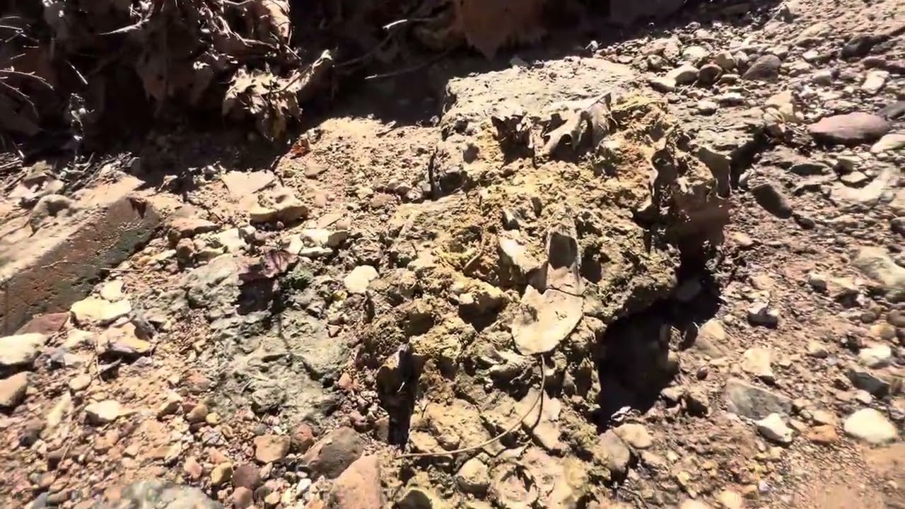 Katmanzu 2/15/26 Waterfall/fossil cave. Post rain