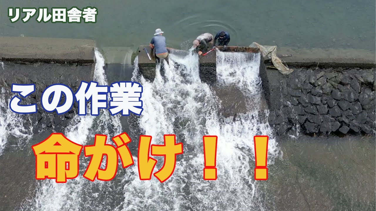 堰の開放！水止め！
