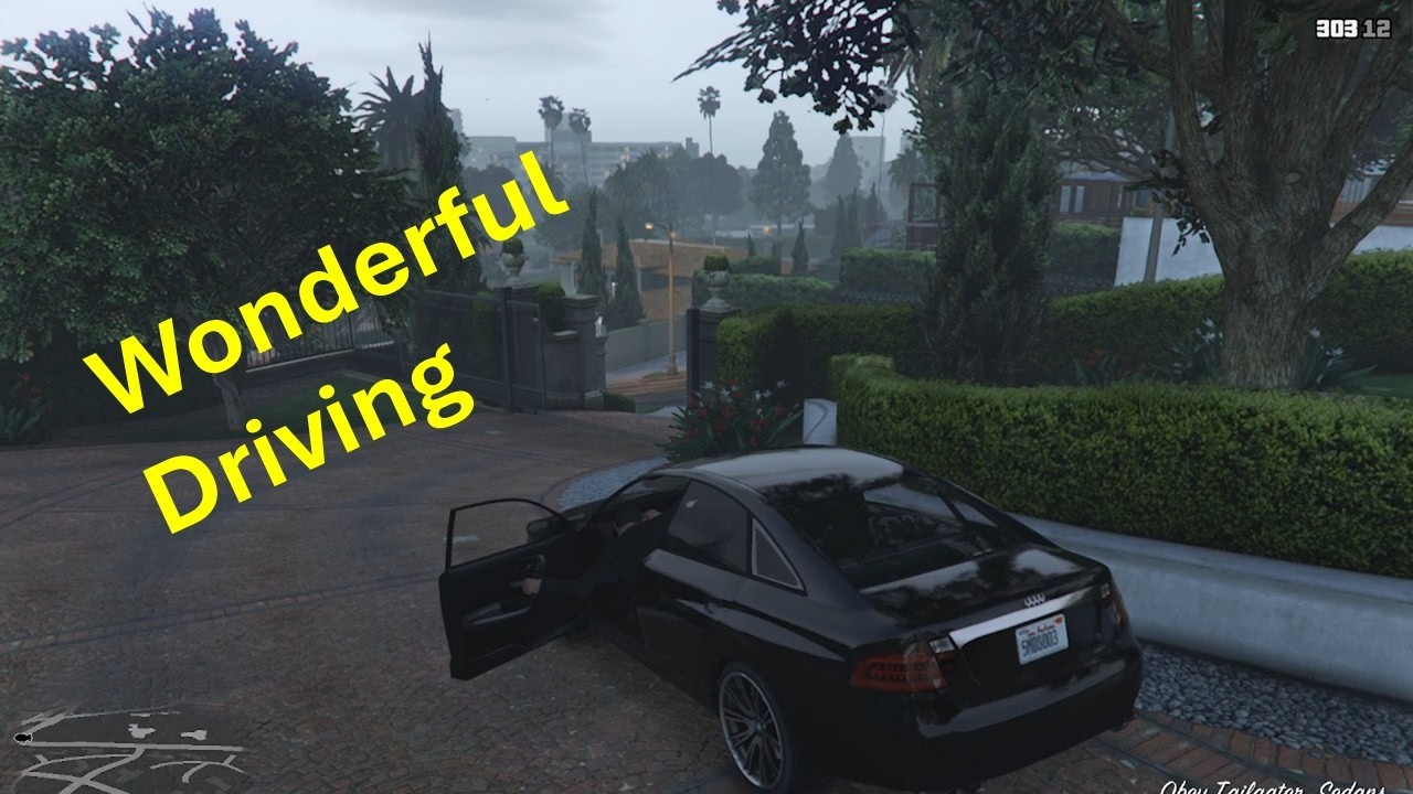 GTA Driving inside the City
