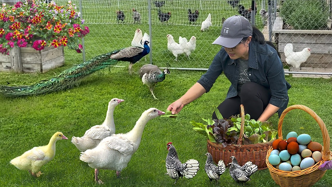 Embrace the Peace & Beauty of Spring 🌿 Organic Gardens, First Harvest Meals & My Animal Family