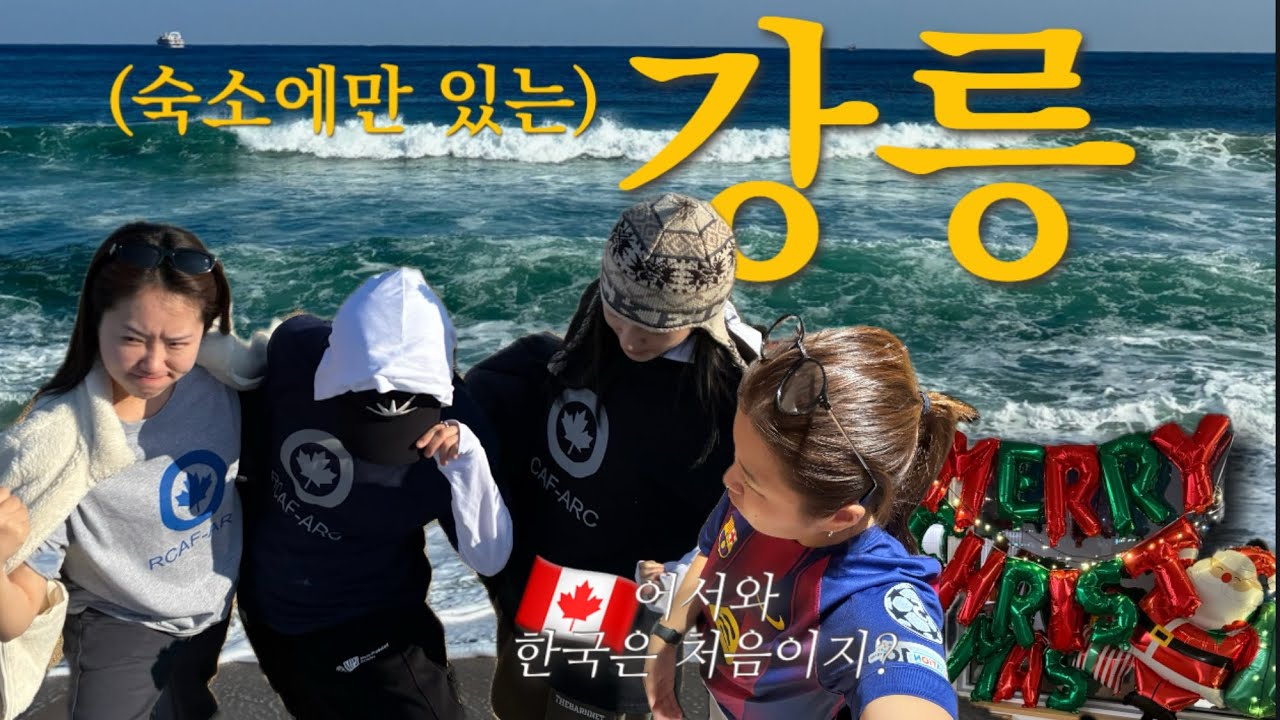 강릉 브이로그🩵 | 캐나다에서 온 군인 데리고 강릉여행🇨🇦 강릉 감성숙소 세틀러