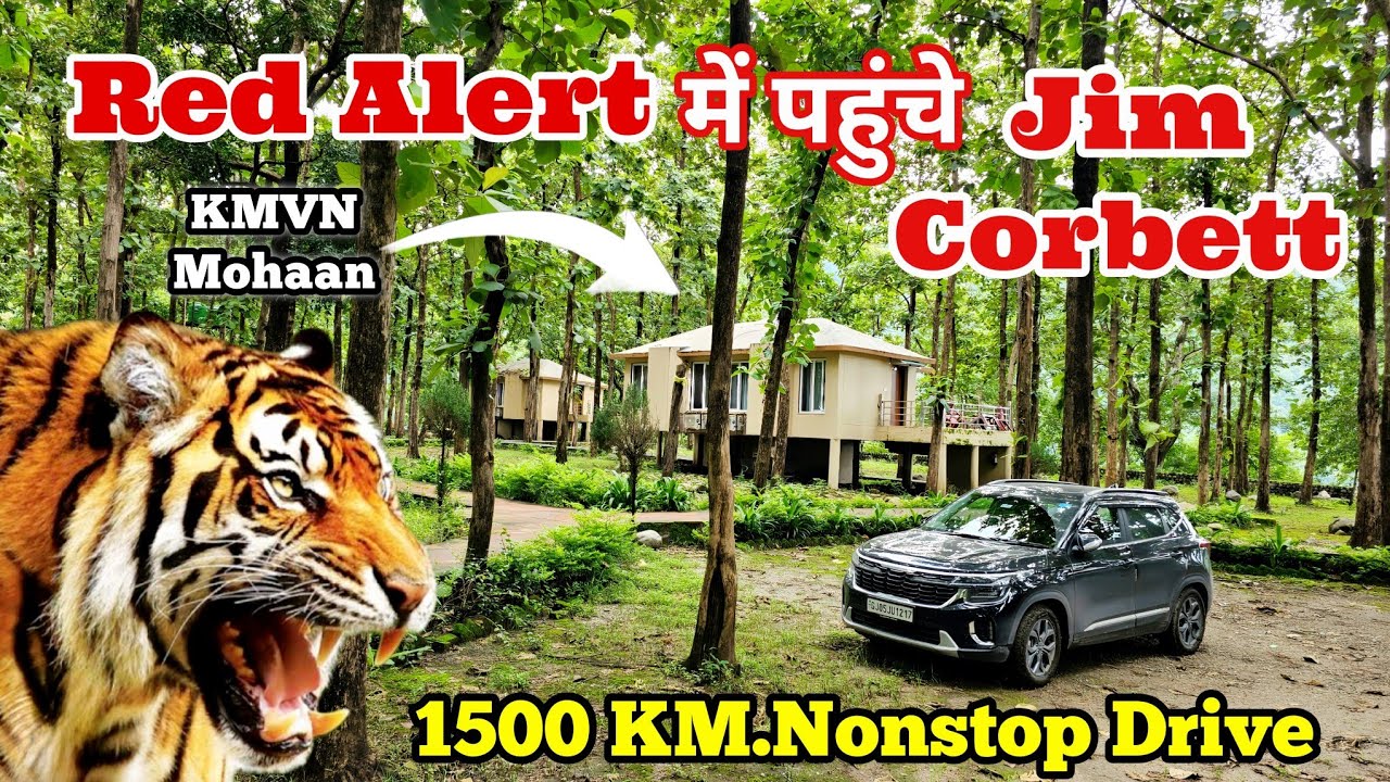 रेड अलर्ट के बावजूद भी पहुंचे जिम कॉर्बेट | Nonstop Road Trip Surat to Jim Corbett  #Uttrakhand