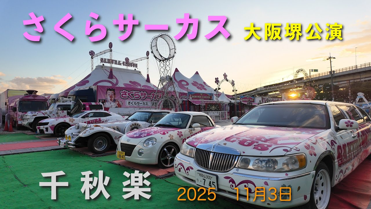 [さくらサーカス]⚪︎⚪︎の事情で演技中のバックミュージックがない場面あります。それでも楽しめる！大阪堺公演　千秋楽　20251103　美男美女だらけ！で超絶演技だらけ！大人から子供まで楽しめます！
