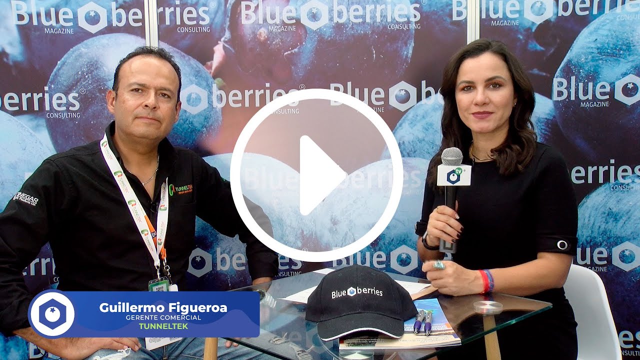 Tunneltek - Entrevista por Blueberries Consulting