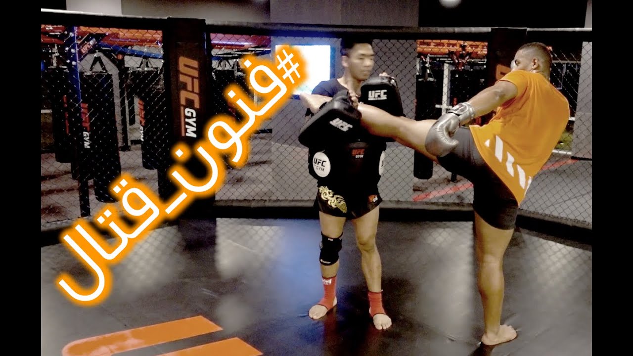 بتعلم مضاربة احترافية | UFC