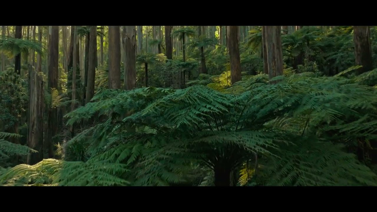 Отправьтесь в густые леса. Окунитесь в природу.