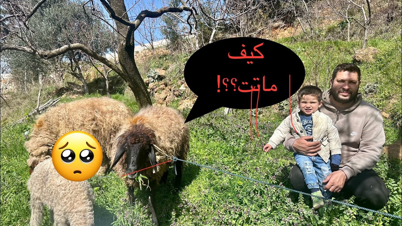 خبر حزين 💔…..؟!