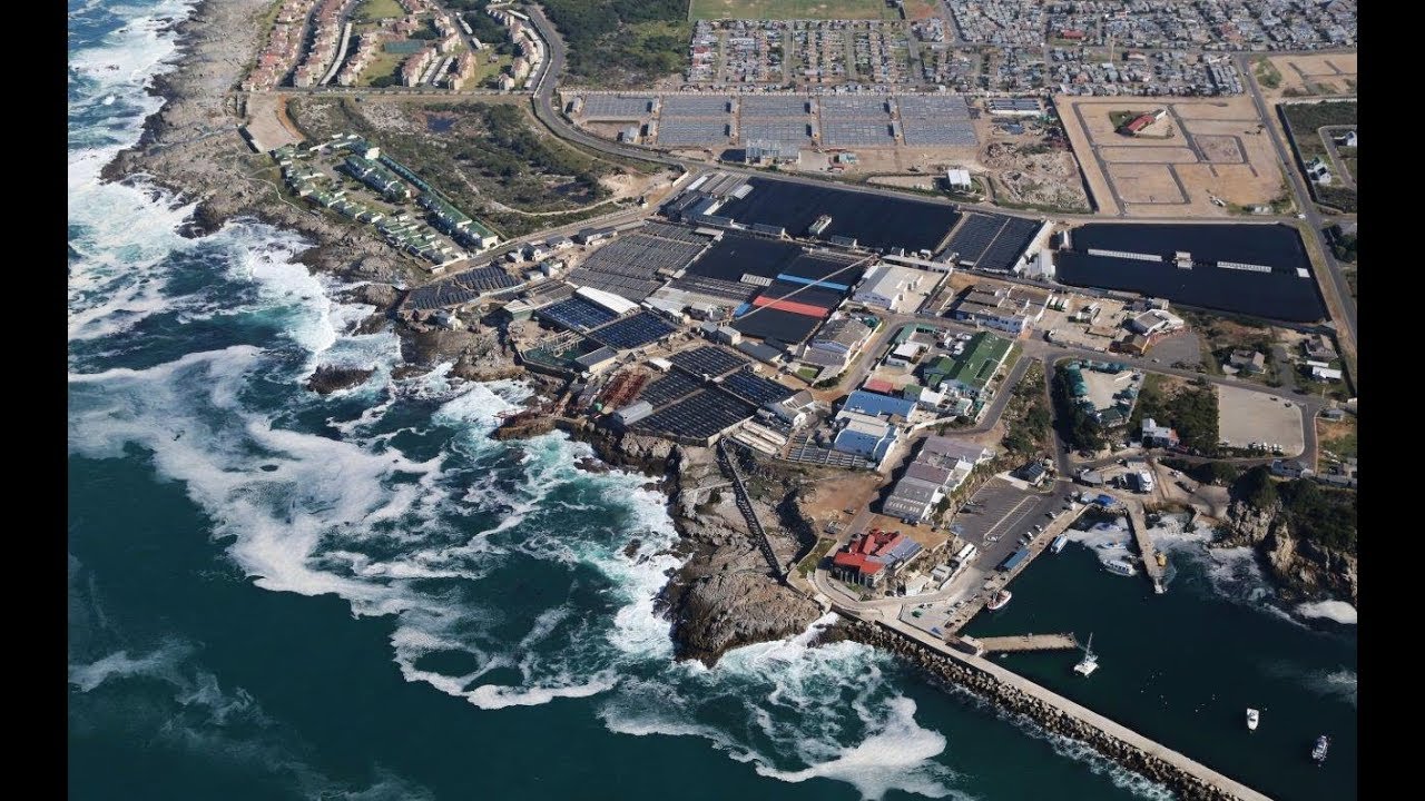 Heart of Abalone - Agritourism Hermanus