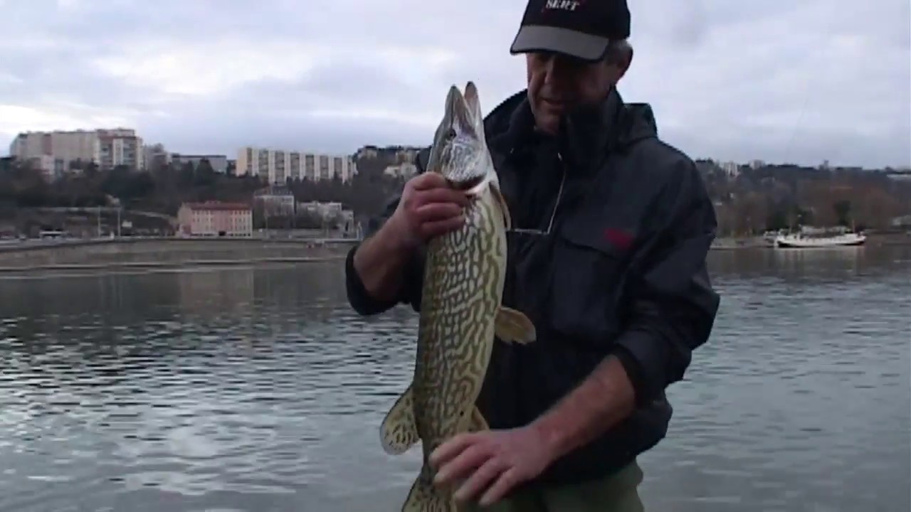 Pêche de A à Z : Brochets du bord - Pêche des carnassiers