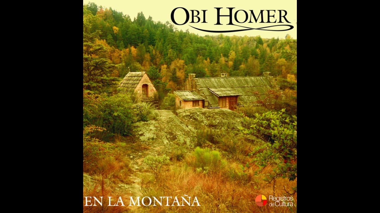 Obi Homer - Con cari&ntilde;o para Toninho