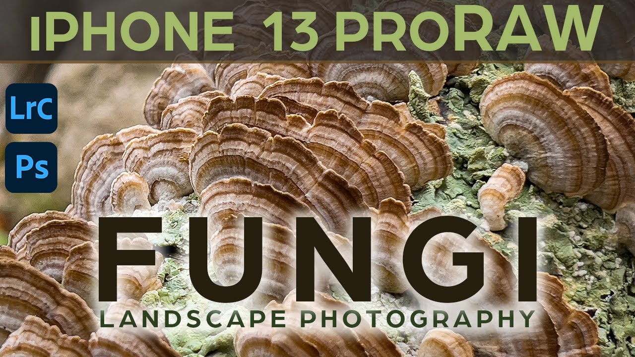 Fungi & Focus Stacking - iPhone 13 Pro Max Landscape Photography