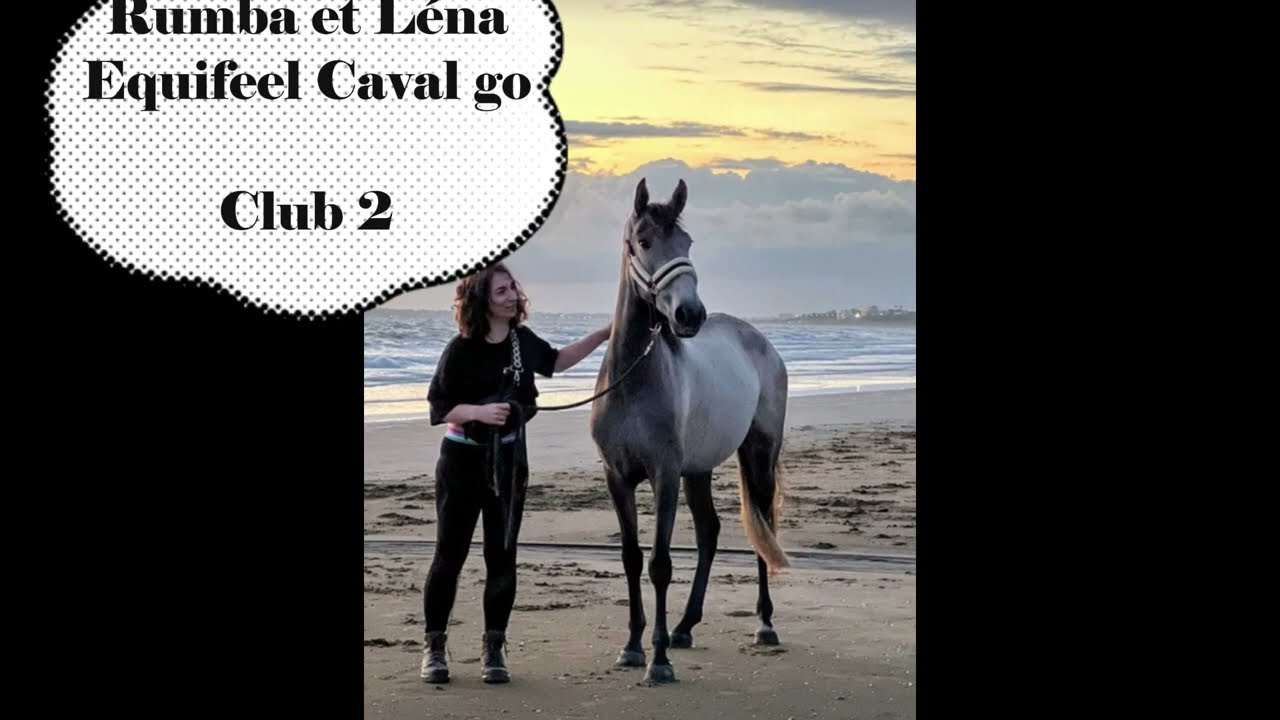 Club 2 Manche 1 Equifeel Virtuel Caval go janvier 2026