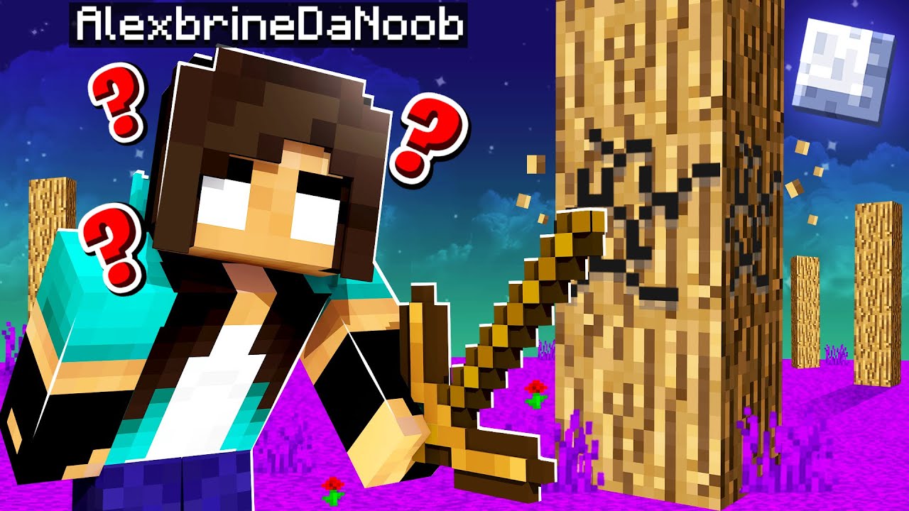 noob Girl starts NEW Minecraft Let's Play (CURSED World...)