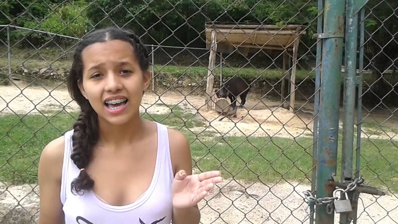 Situacion del Zoologico de Caricuao