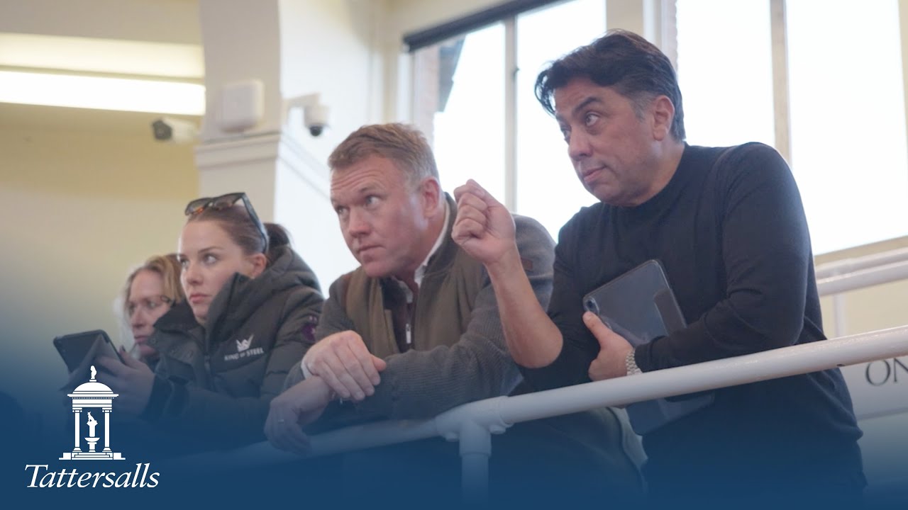 Tattersalls Craven Breeze Up Sale 2025 Review