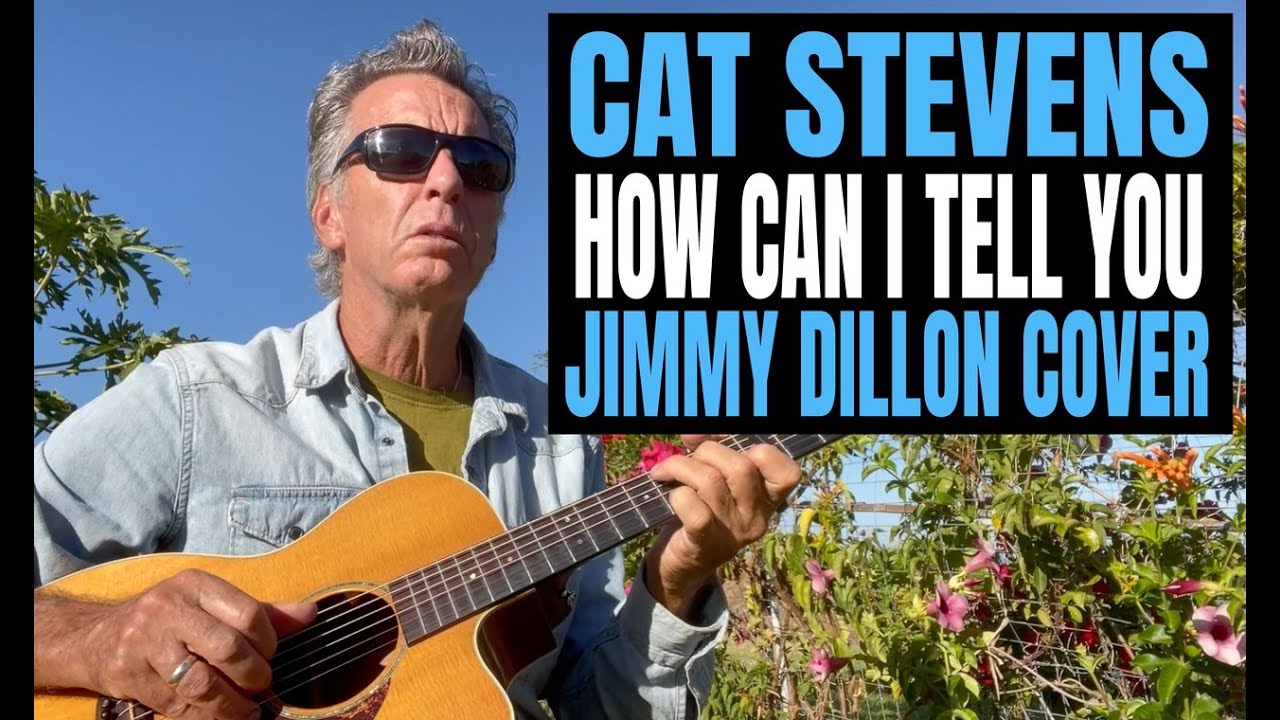 Cat Stevens How Can I Tell You Cover by Jimmy Dillon