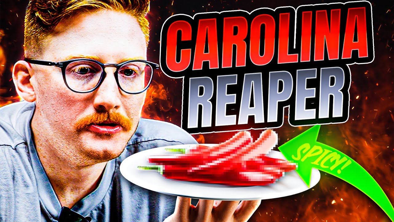 Scump vs. Carolina Reaper - OpTic Spill Your Guts