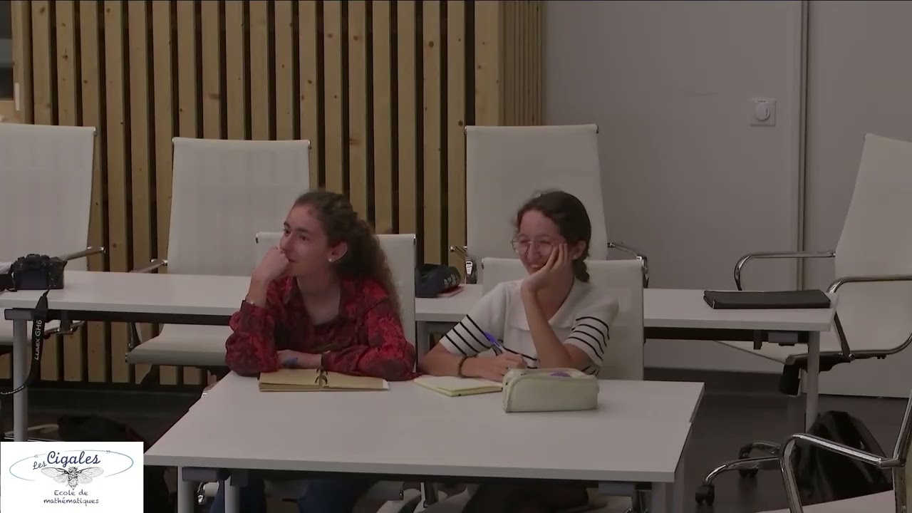 Les mathématiques de Maryam Mirzakhani par Jayadev Athreya & Pascal Hubert