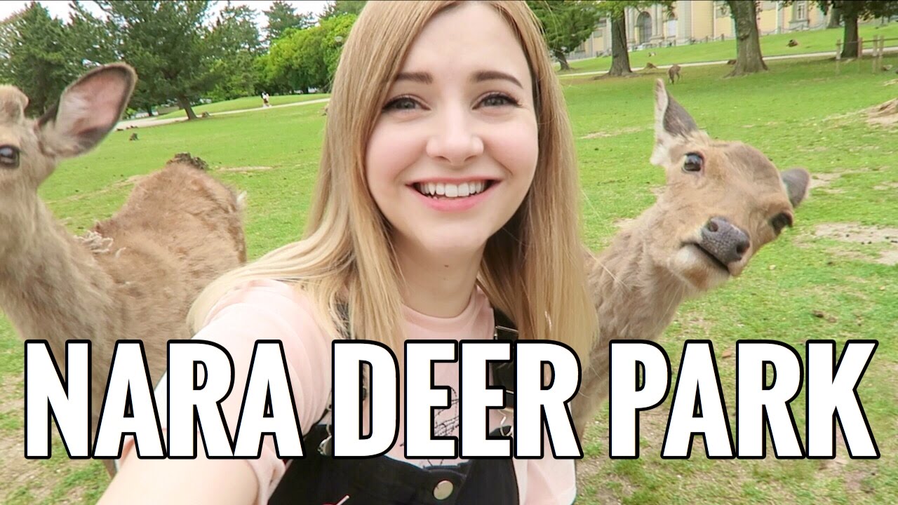 Must Visit DEER PARK in Japan!