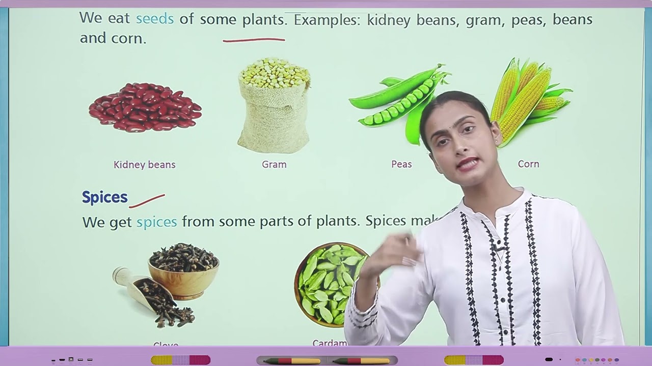 Ch 4 | Jophiel Books | Science | Class 2 | Uses of Plants | For children