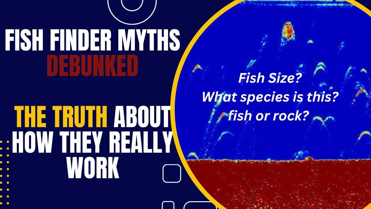 Fish Finder Myths Debunked: The truth About how they really work