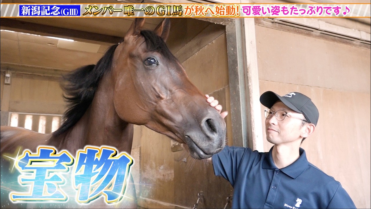 【新潟記念】GI馬・ブレイディヴェーグが始動！津村明秀騎手との新コンビで3度目の重賞制覇へ！