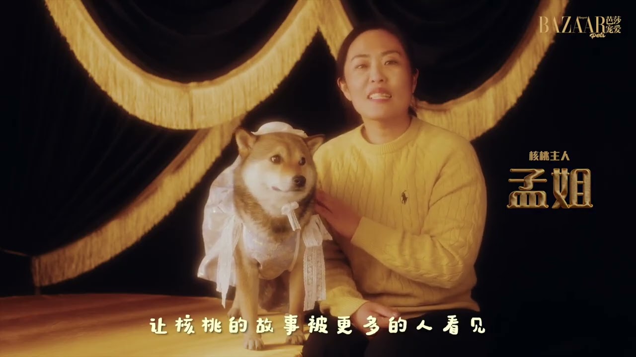 观众朋友们大家好,这里是第二届芭莎宠爱Pets of the Year的颁奖典礼现场。 过去的一年里,又有一些毛孩子们,悄悄地守护过这个世界,轻轻地走进了人的心里。今天的荣誉,属于它们——