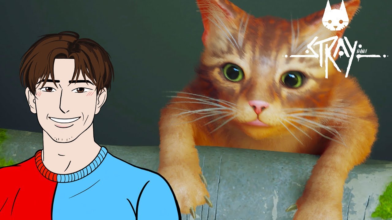 🇺🇦 НЕ ВТРИМАВСЯ І СТАВ КОТОМ! - Stray #1