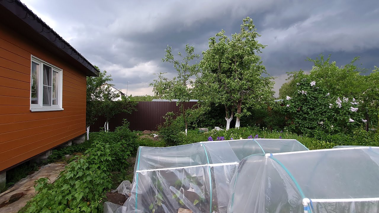 Unexpected Find. Dad Changed All Our Plans / Russian Village Life
