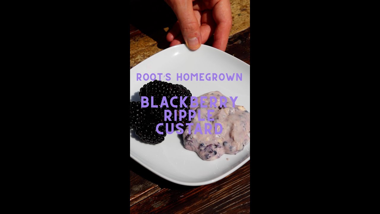 Homegrown Blackberry Custard Recipe