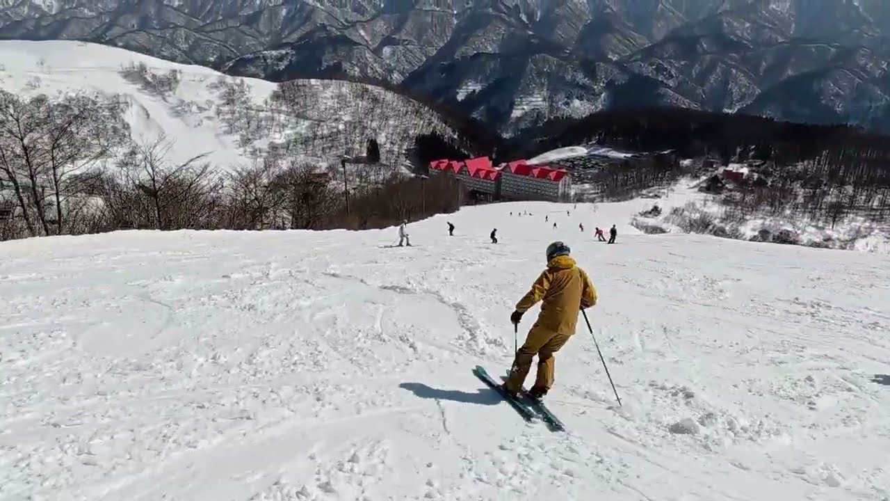 20260215二木さんフリーラン
