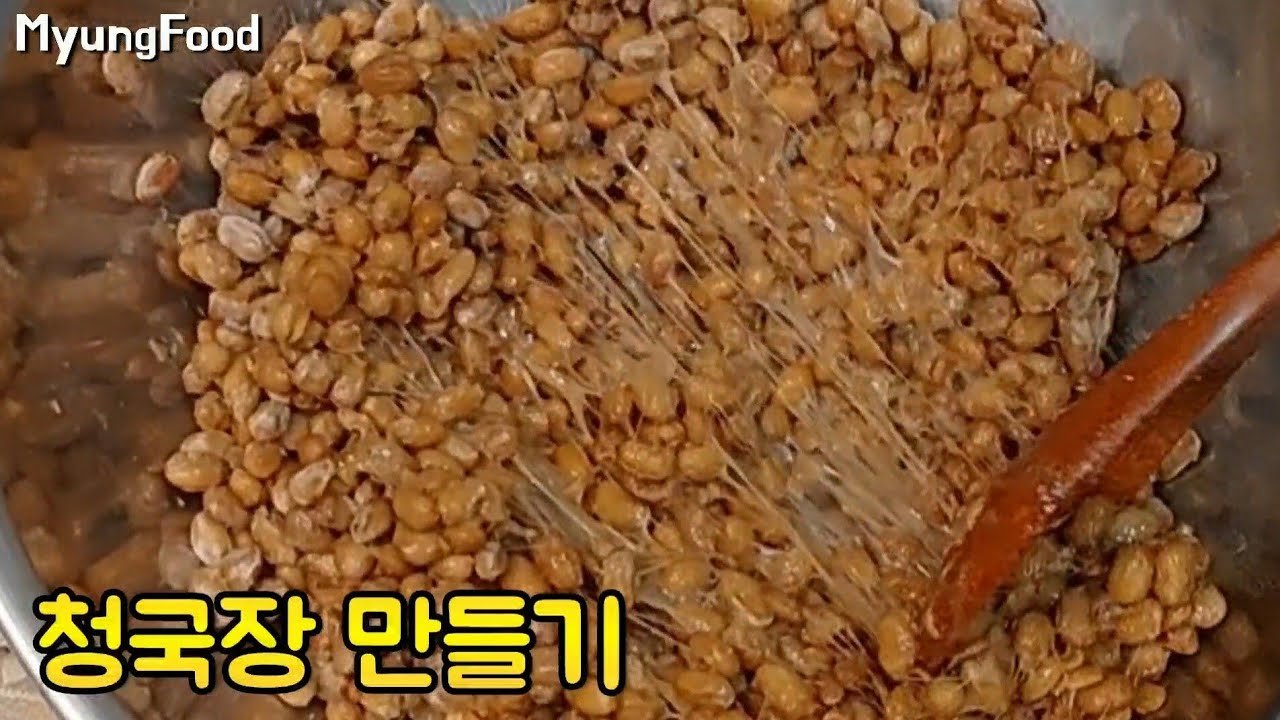 청국장 효능 알면, 모두 먹게될껄~ 집에서 이것 넣어 100% 성공! (NO볏짚) - 온도, 시간은 이렇게! #73