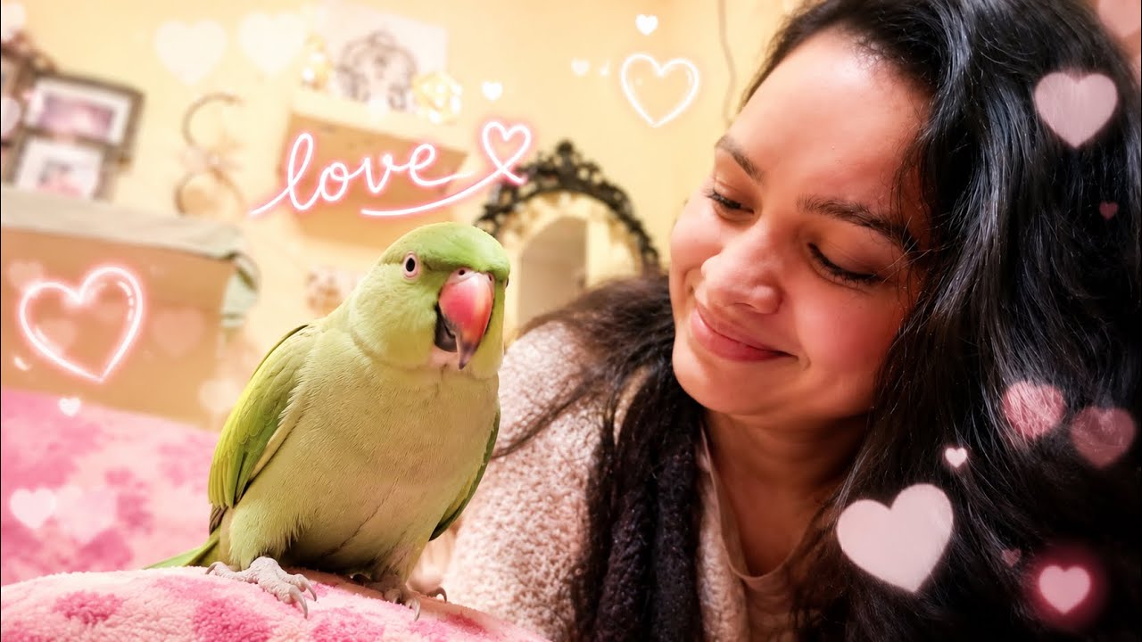 Mere piche-piche ghoomti meri pyari parrot 🥹💚🦜 #TaraSara #mahiroy 