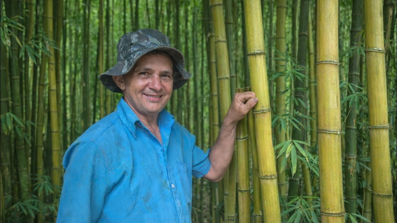 Trabalho na #CERCA #BAMBU #ROÇA 