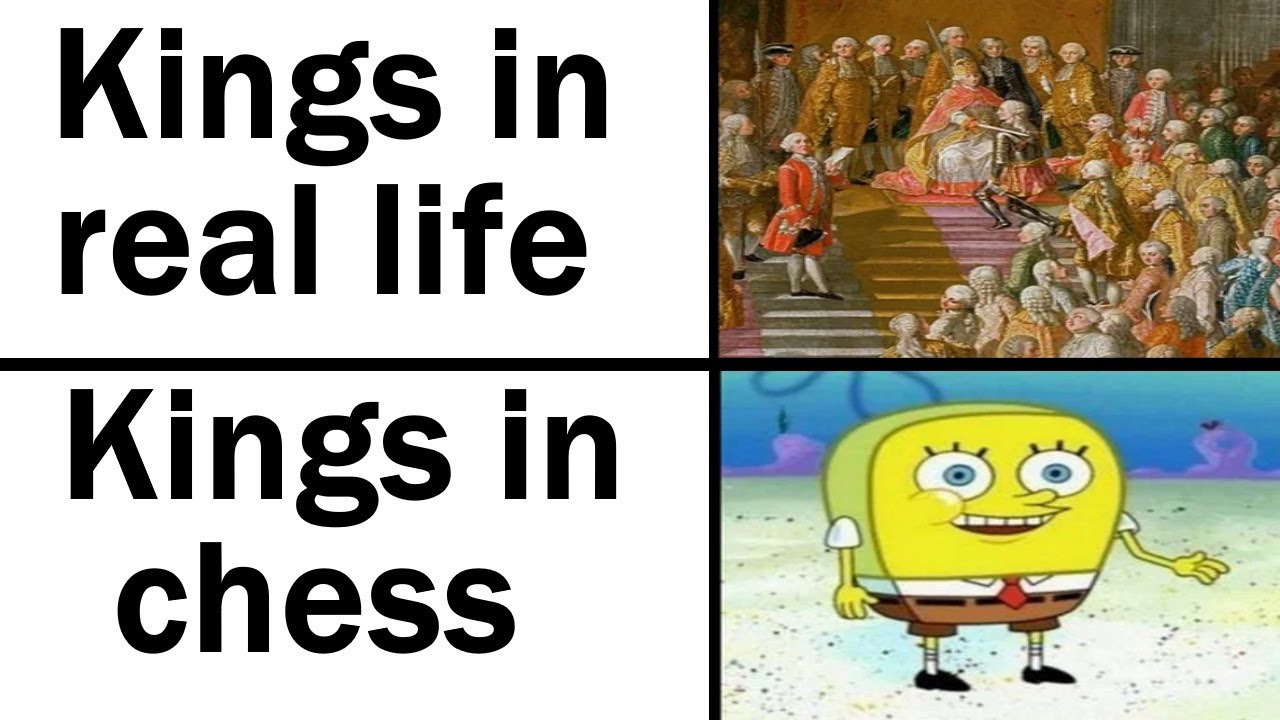 Daily Juicy Memes 528