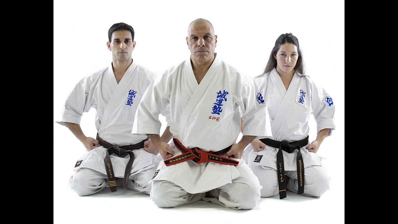 Bitran Martial Arts - Seido Karate