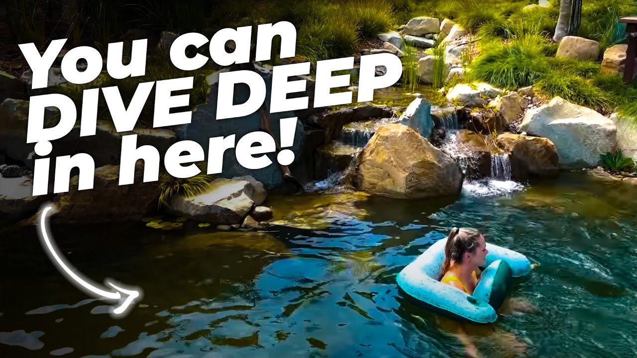 RECREATION POND in Beverly Hills - Swim with DOGS