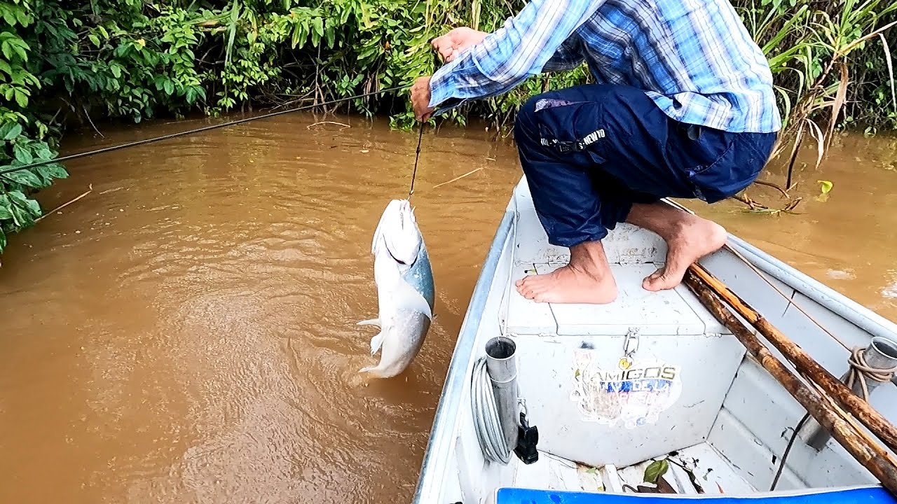 Pesca con carnada viva , campamento , cocina y receta de bagre en leña para el invierno .