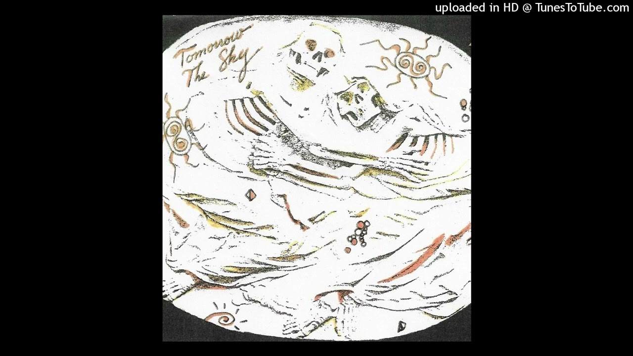 Tin birds (Tomorrow, the sky?)
