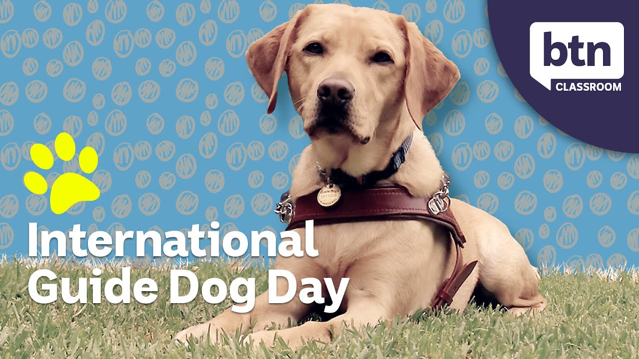 International Guide Dogs Day - Behind the News