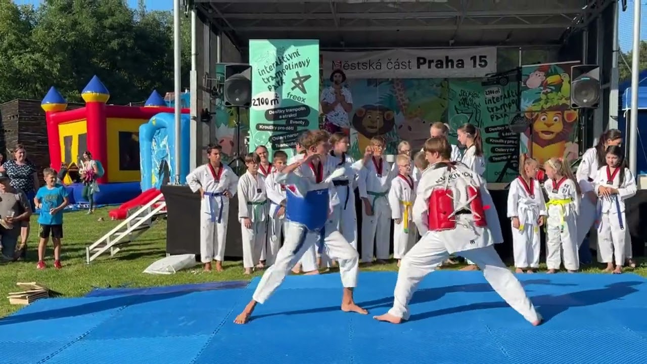 TKD ukázka v podání TAEHAN DEMO TEAMu ve sportovním areálu Na Šancích v pražské Hostivaři...