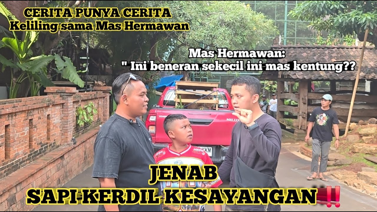 Misi dari Mas Hermawan Setia Farm !! Pengiriman Sapi Unik dari Sumatera !!