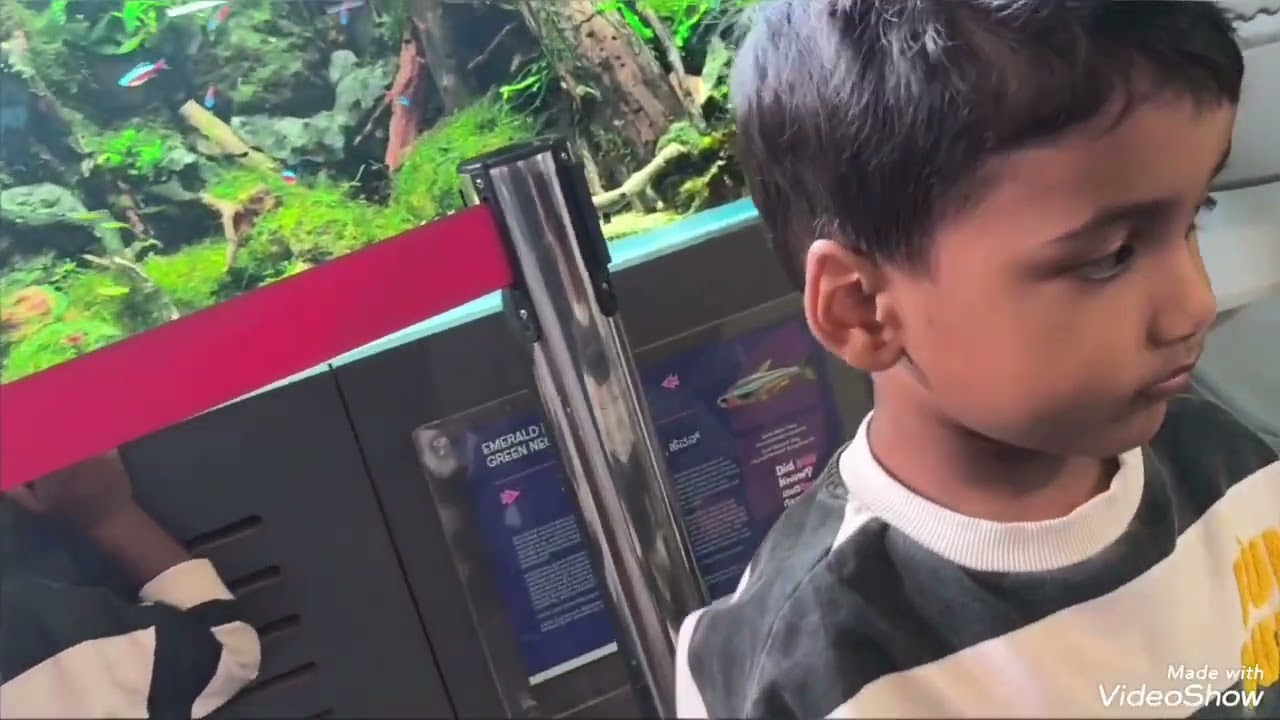 Aquarium visit with my boys 🥰😍They enjoyed a lot.  A complete family time ❤️❤️